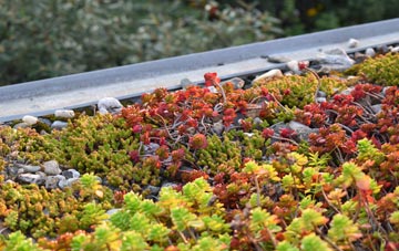 the cost of Ravelston green roof installation