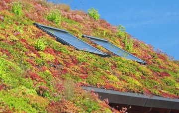 Ravelston living roof systems