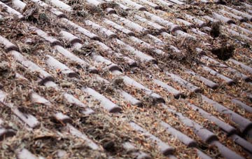 Ravelston roof cleaning companies